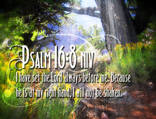 [Photo of a lush forest with a Scripture verse superimposed]