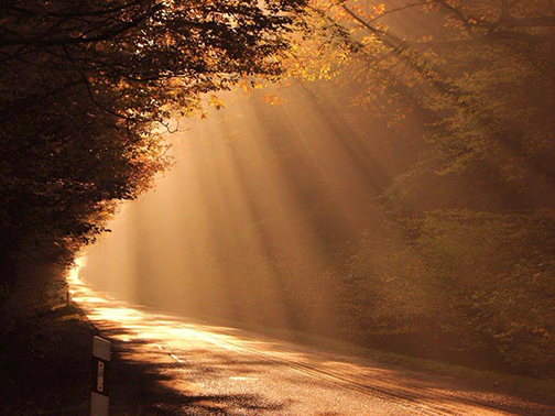 Photo of sunlight shining on a path