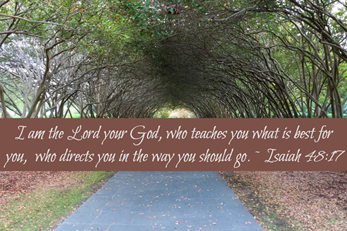 Photo of a forest road with a Scripture verse superimposed
