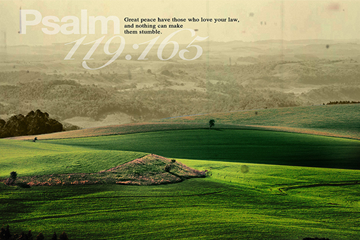 Photo of a beautiful landscape with a Scripture verse superimposed
