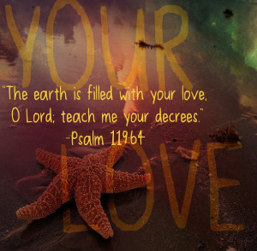 Photo of some starfish with a Scripture verse superimposed