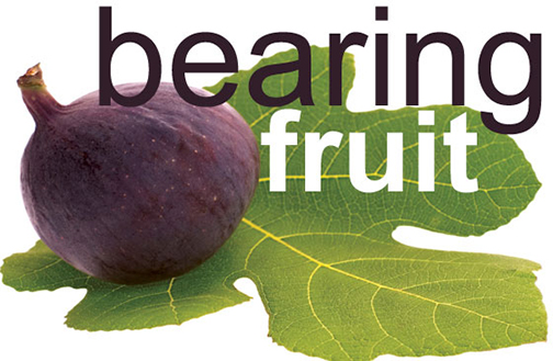 [Photo of a bearing fruit]