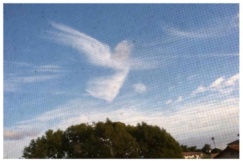 [Photo of a cloud that looks like an angel]