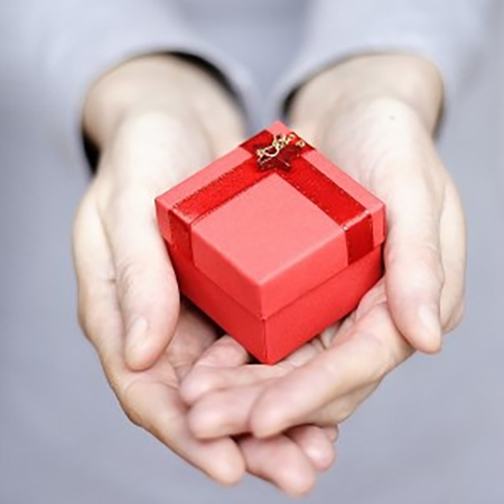 [Photo of hands holding a gift]